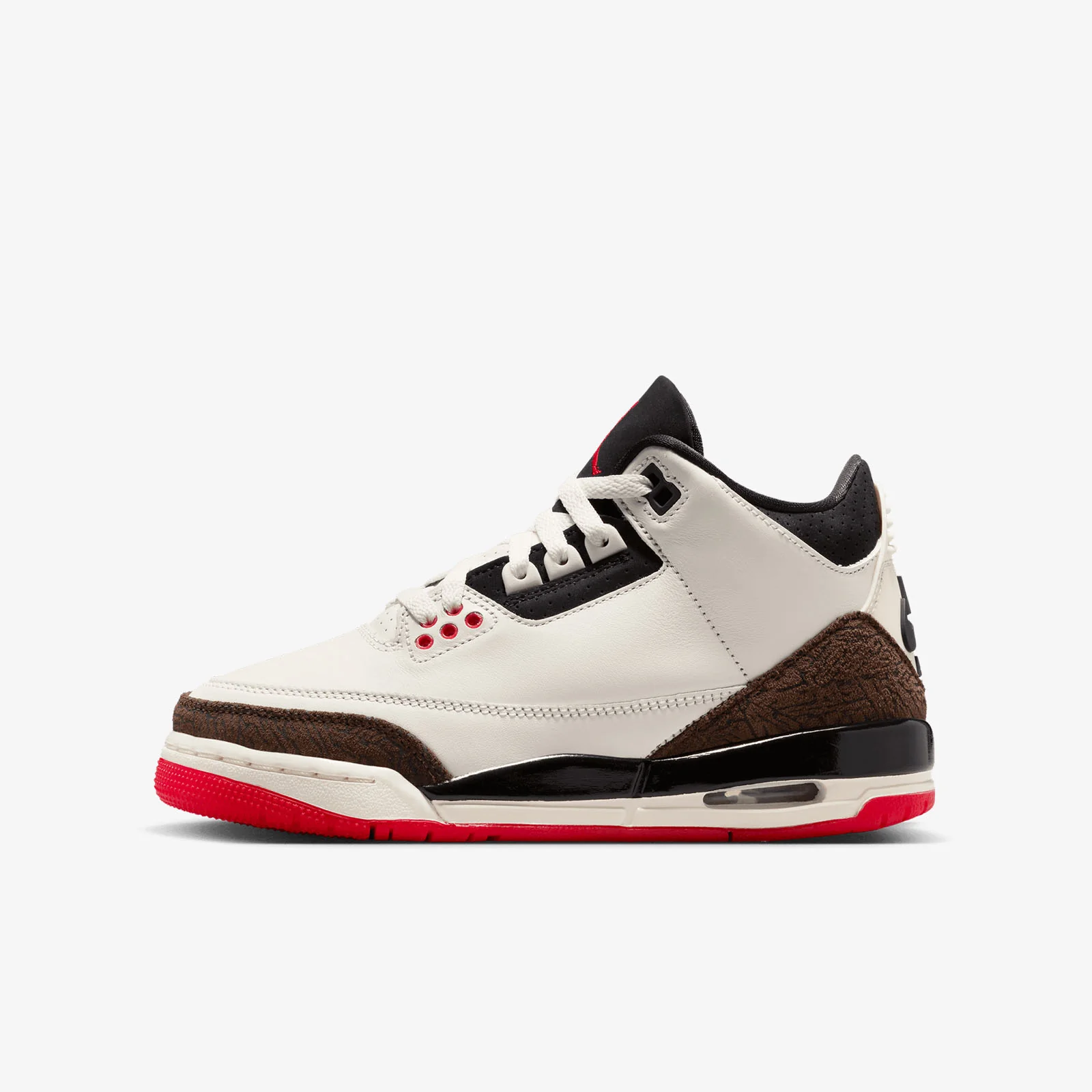 Air Jordan 3 Retro (GS) - World's Best